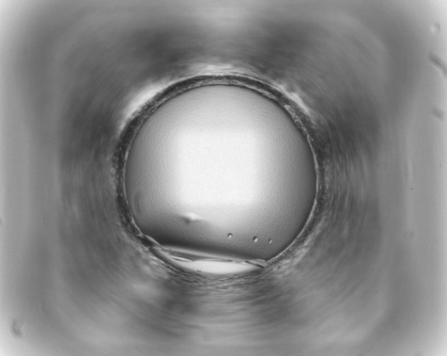 X0000093251311200710241307