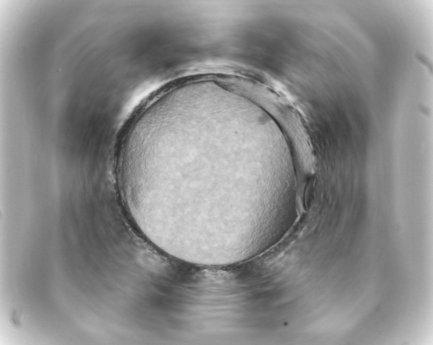 X0000093251312200710241307