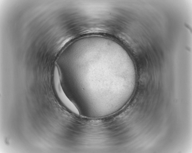 X0000093251313200710241307