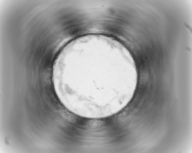 X0000093251314200710241307