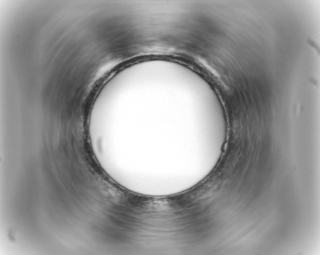 X0000093251315200710241307