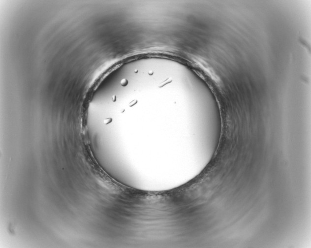 X0000093251316200710241307