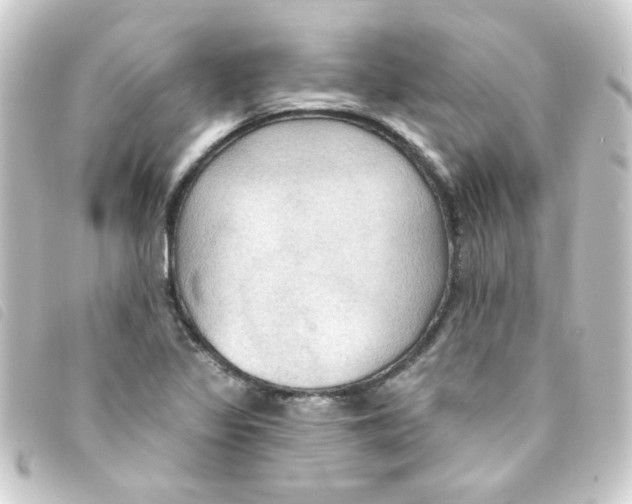 X0000093251317200710241307