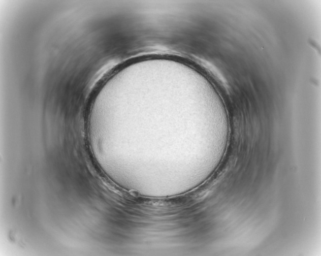 X0000093251318200710241307