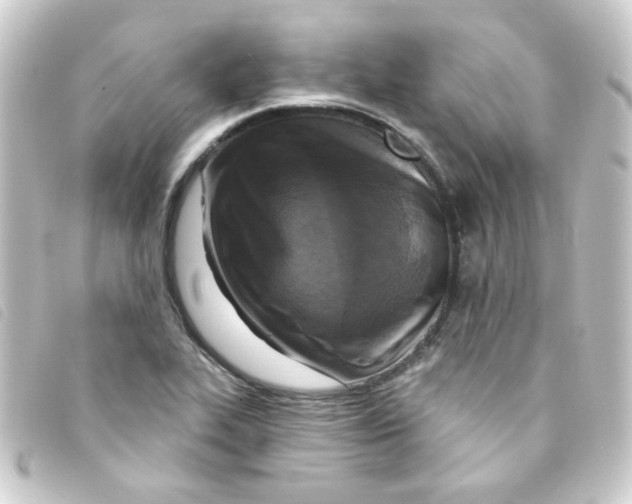 X0000093251319200710241307