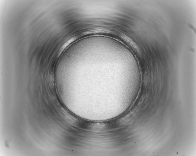 X0000093251321200710241307