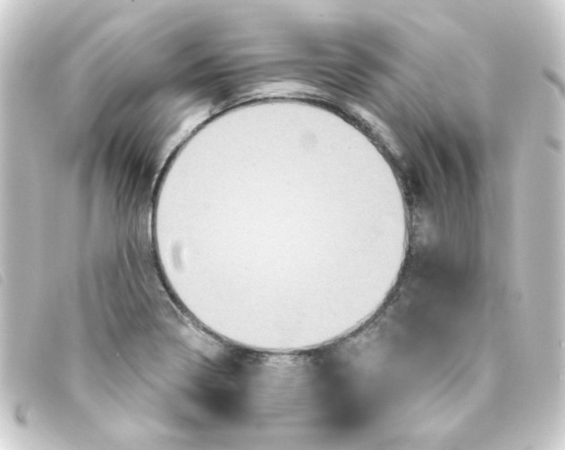 X0000093251322200710241307