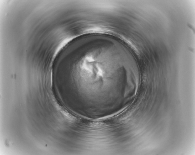 X0000093251323200710241307