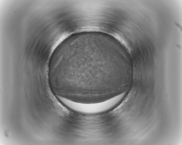 X0000093251325200710241307