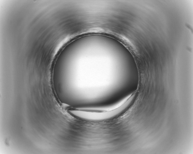 X0000093251326200710241307