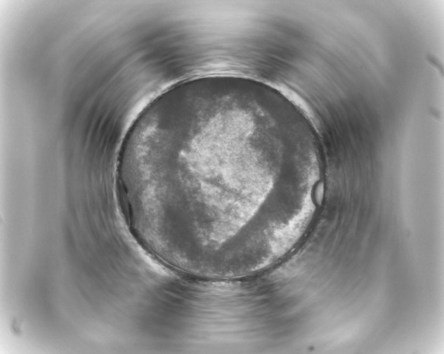 X0000093251333200710241307