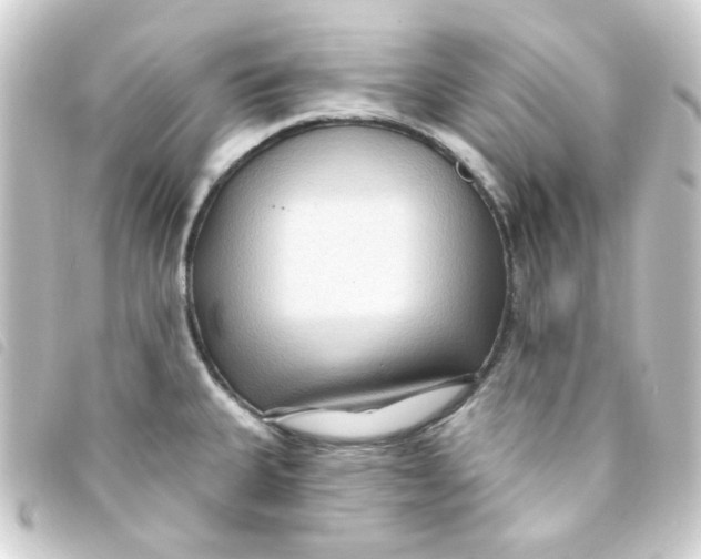 X0000093251335200710241307