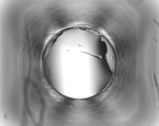 X0000093251336200710241307