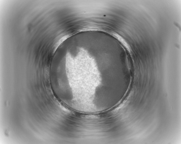 X0000093251337200710241307