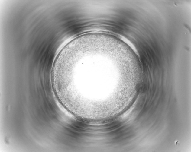 X0000093251338200710241307