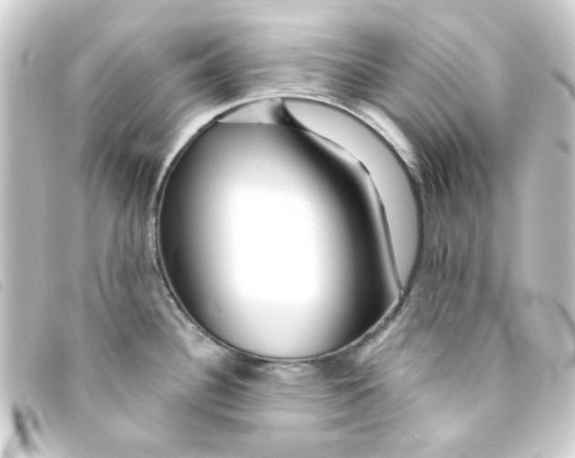 X0000093251340200710241307