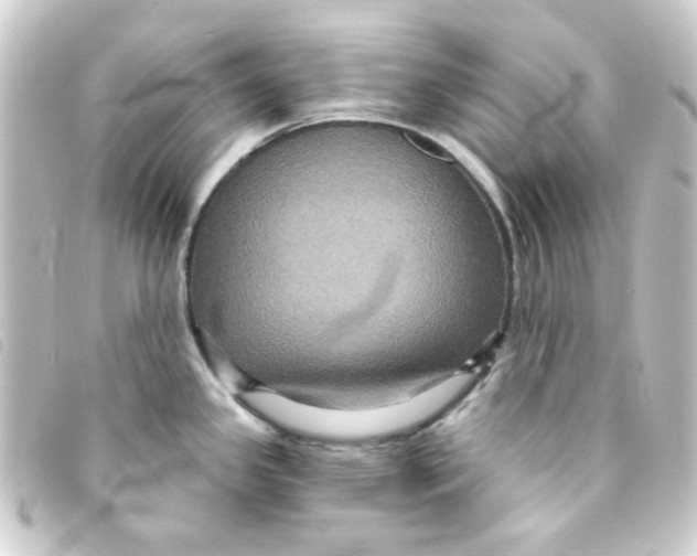 X0000093251341200710241307