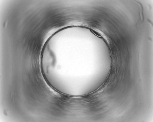 X0000093251343200710241307