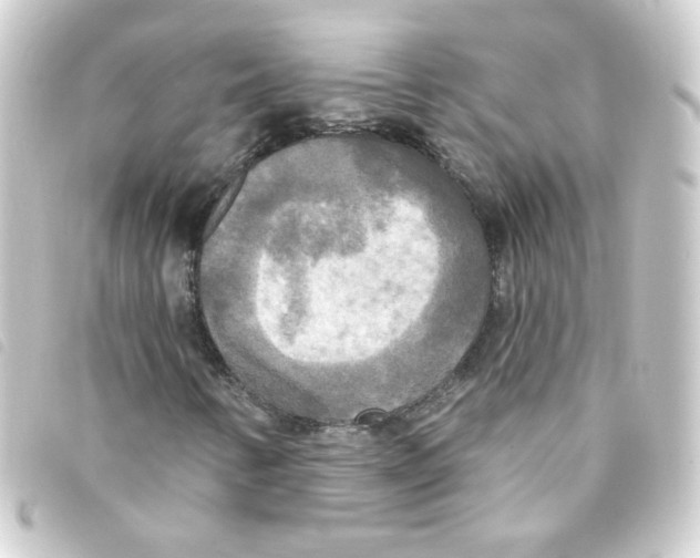 X0000093251346200710241306