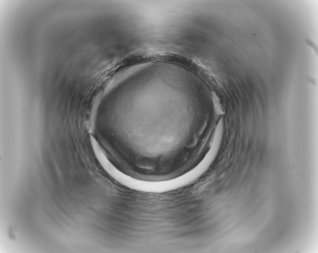 X0000093251348200710241306