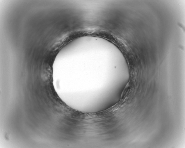 X0000093251349200710241306