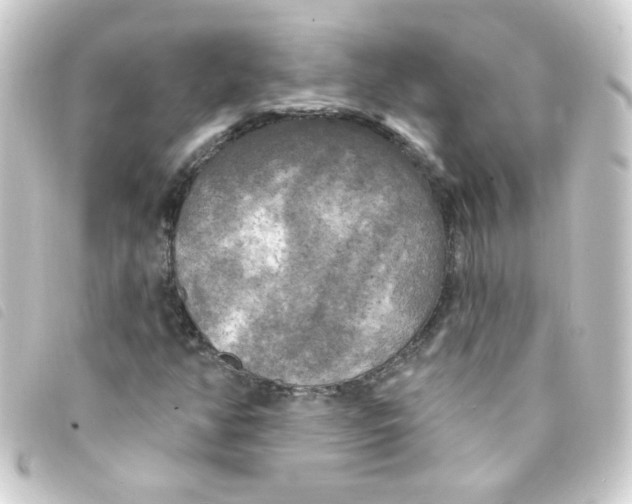 X0000093251350200710241306