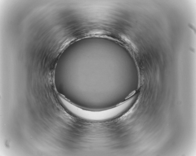 X0000093251353200710241306