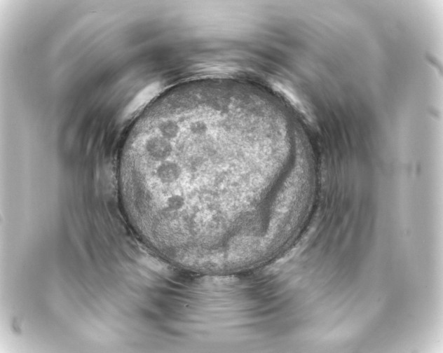 X0000093251354200710241306