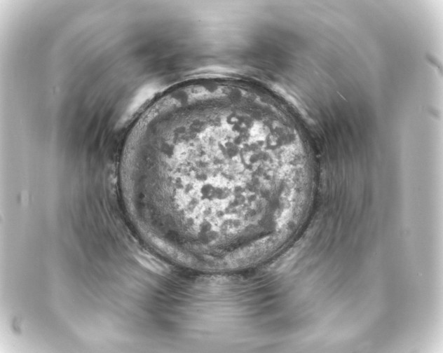 X0000093251355200710241306