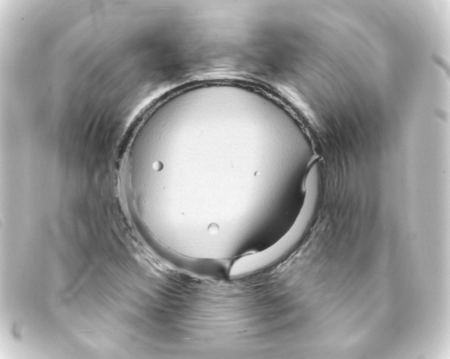 X0000093251356200710241306