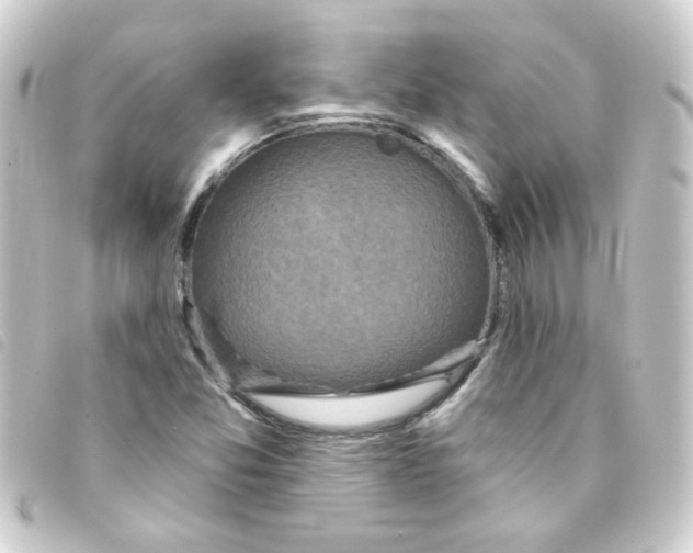 X0000093251357200710241306