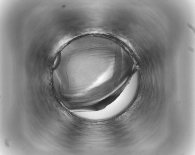 X0000093251359200710241306