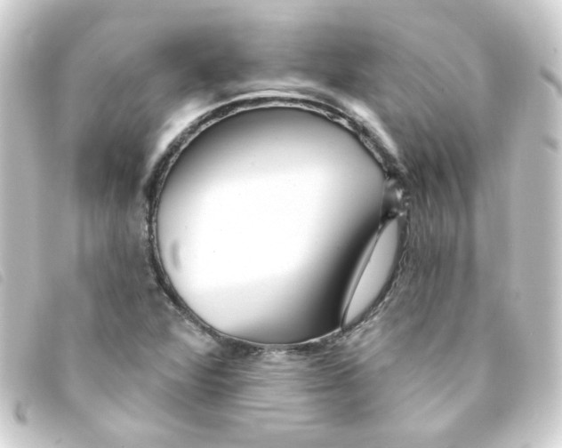 X0000093251360200710241306