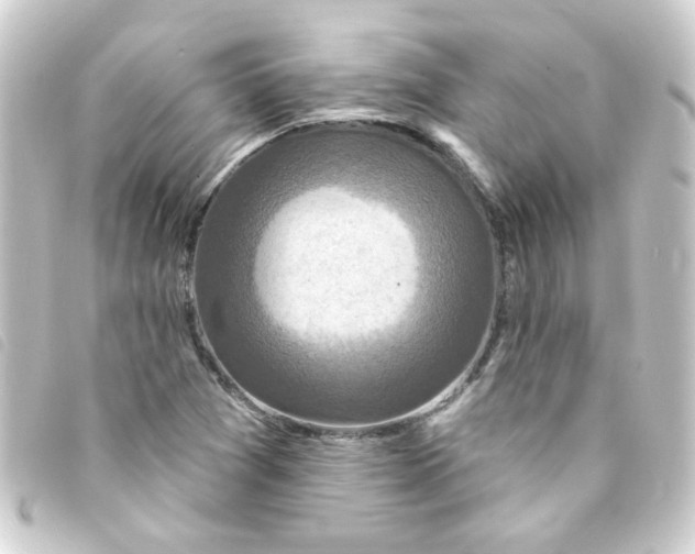 X0000093251361200710241306