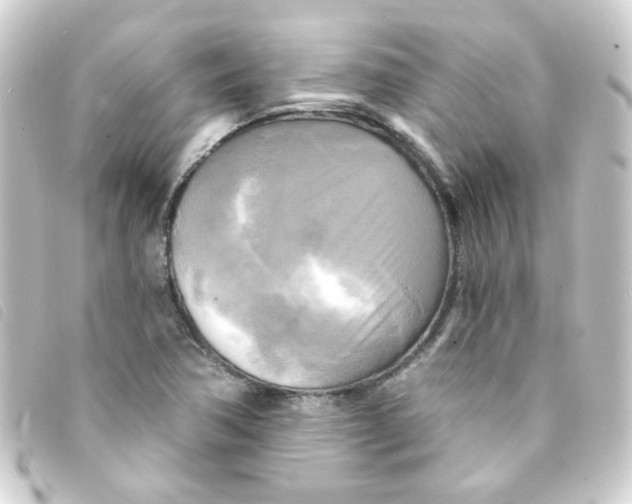 X0000093251362200710241306