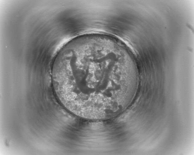 X0000093251363200710241306