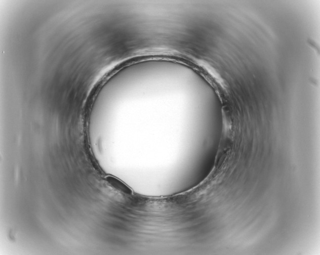 X0000093251364200710241306