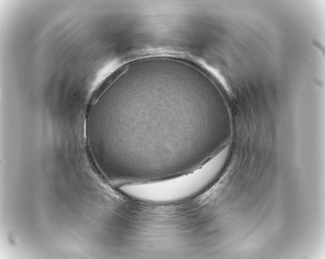 X0000093251365200710241306