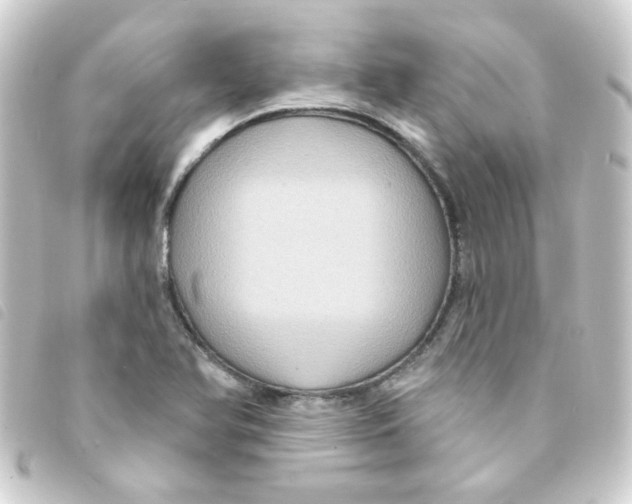 X0000093251366200710241306