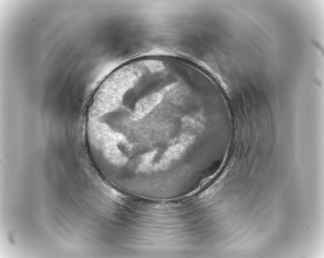 X0000093251367200710241306