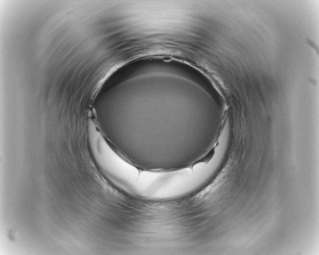 X0000093251369200710241306