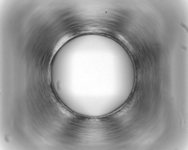 X0000093251370200710241306