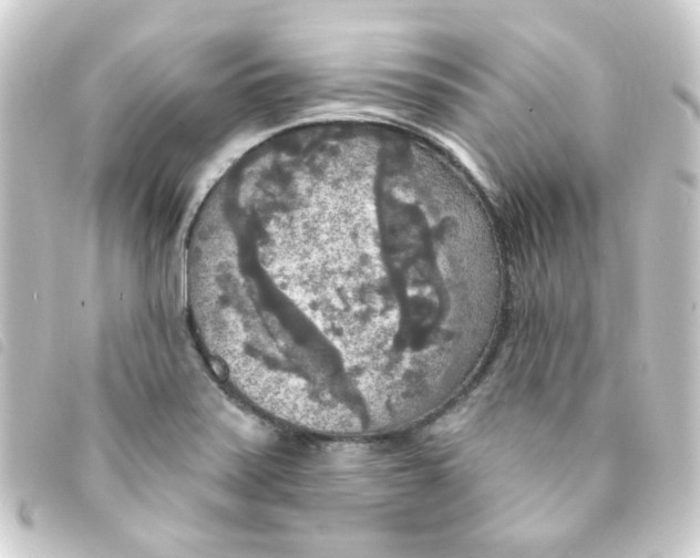 X0000093251371200710241306