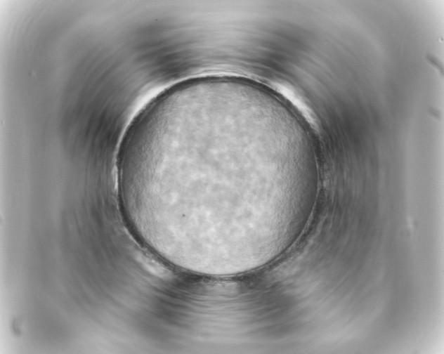 X0000093251372200710241306