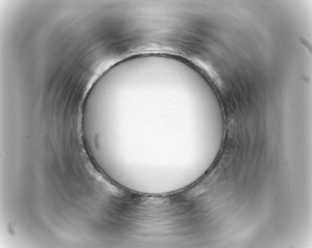 X0000093251374200710241306