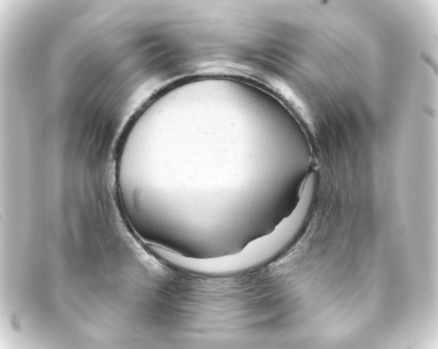 X0000093251376200710241306