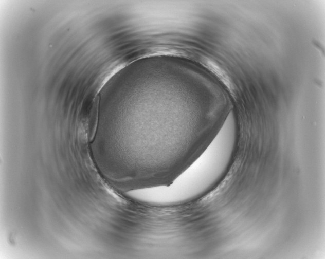 X0000093251377200710241306