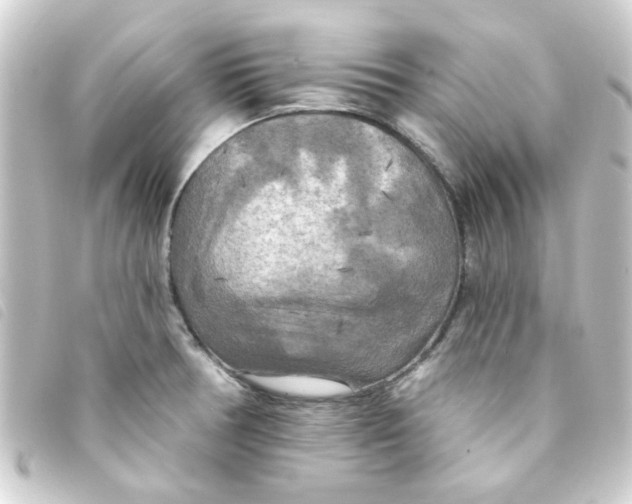 X0000093251378200710241306