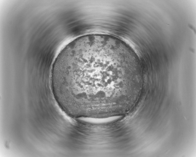 X0000093251379200710241306