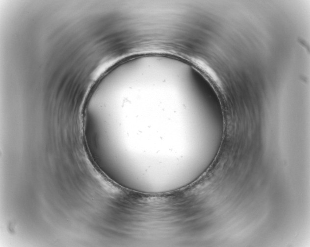 X0000093251380200710241306